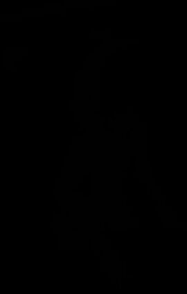 Image: 5019307