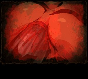Image: 8114917