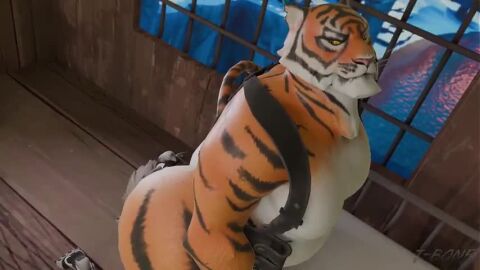 Image: 13060468
