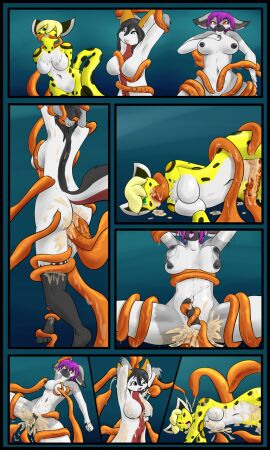 Image: 2385136