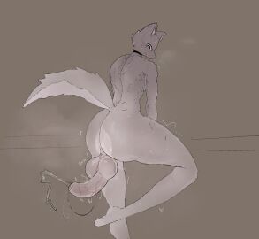 Image: 13014193