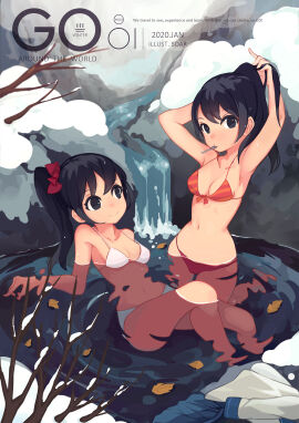 Image: 4987667