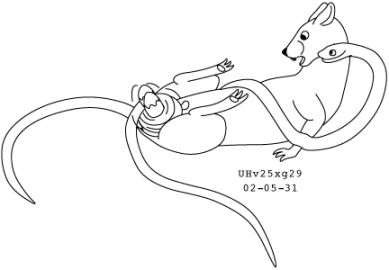 Image: 13020045