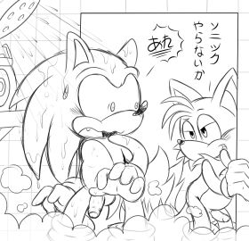 Image: 1162199