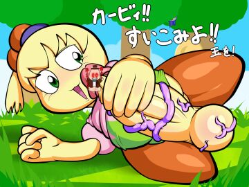 Image: 2528321
