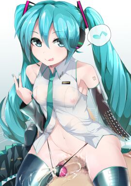 Image: 312999