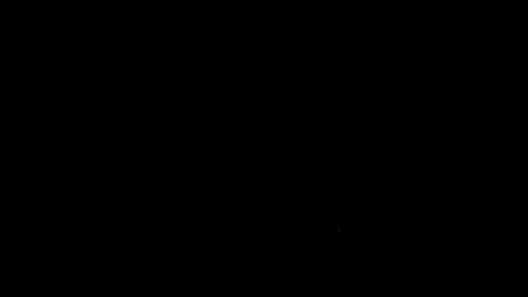 Image: 13050606