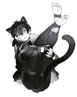 Image: 12155694