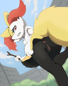 Image: 13014302