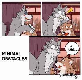 Image: 3472887
