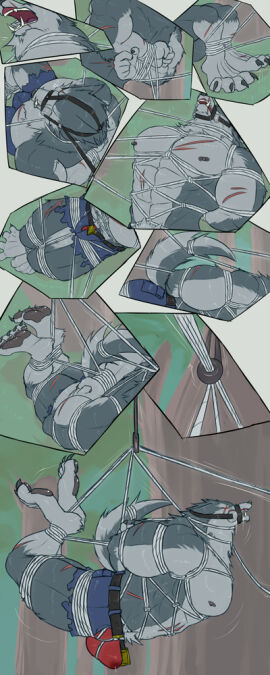 Image: 9797936