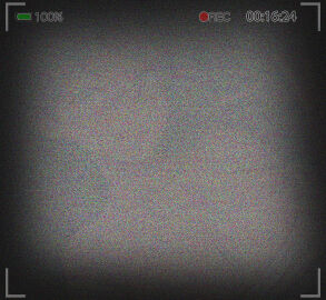 Image: 10275398