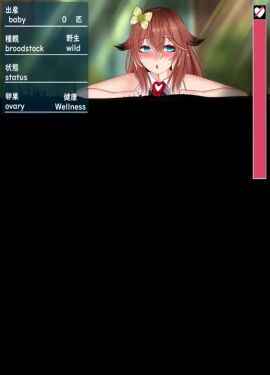 Image: 8172025