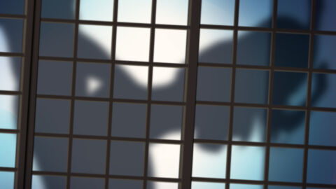Image: 9219597
