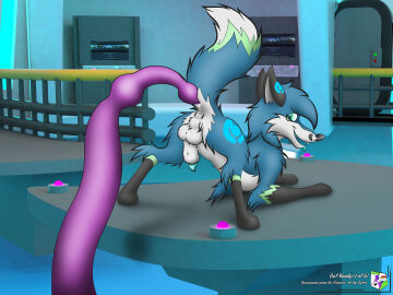 Image: 9998541