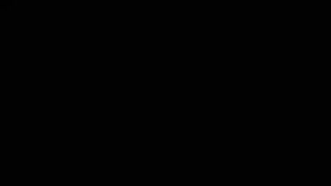 Image: 13079643