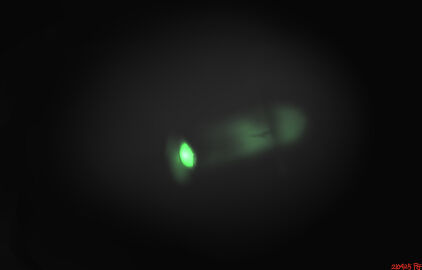 Image: 7619685