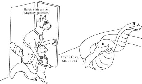 Image: 13020019