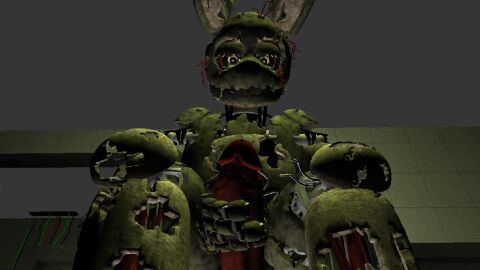 Image: 11031009