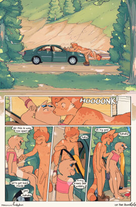 Image: 13030308