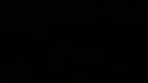 Image: 9664663