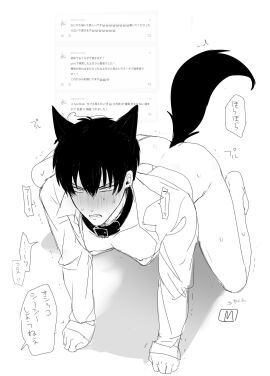 Image: 10102339