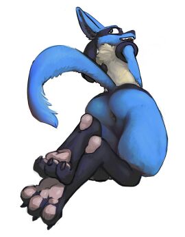 Image: 11923822