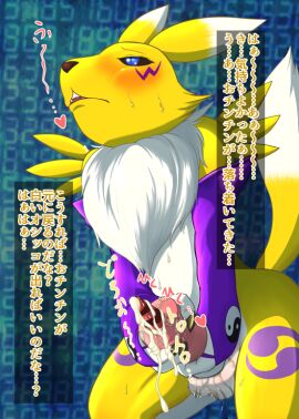 Image: 4345321