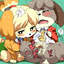 Image: 496267
