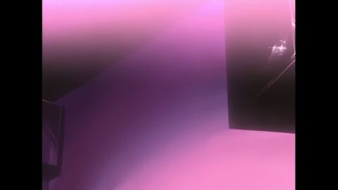 Image: 13065975