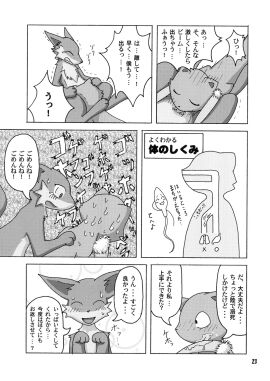 Image: 781997