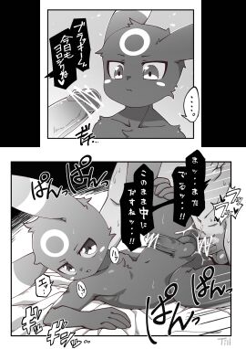 Image: 11169310