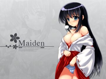Image: 3078869