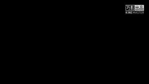 Image: 4719947