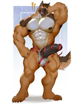 Image: 11946117