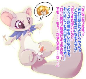 Image: 695206