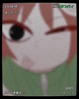 Image: 13120236