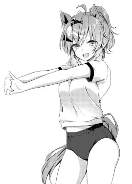 Image: 12481699