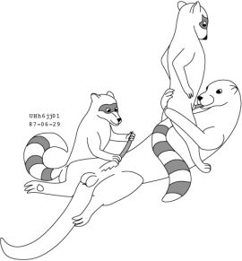 Image: 13010237