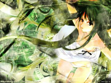 Image: 3078891