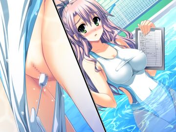 Image: 3081652