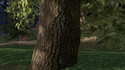 Image: 13120692