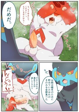 Image: 8041279