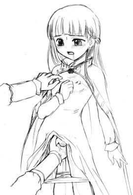 Image: 3119741