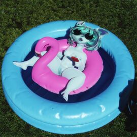 Image: 12921354