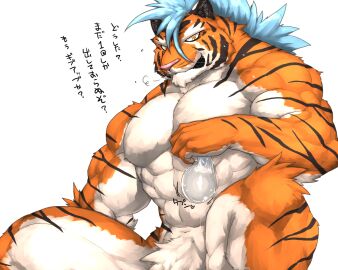 Image: 13012417