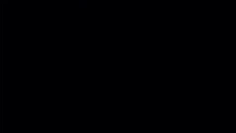 Image: 8316271