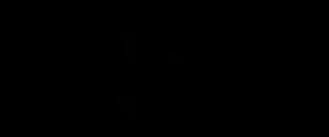 Image: 13075562