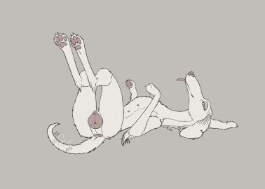 Image: 4701516