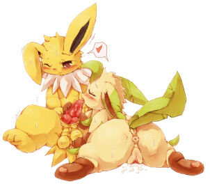 Image: 970546